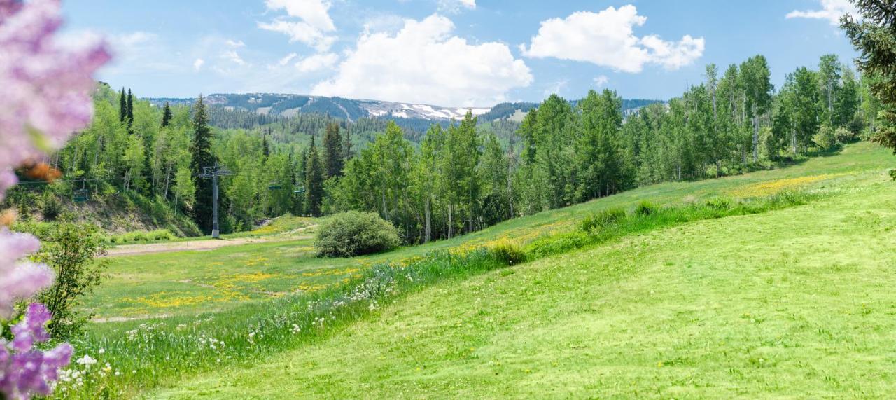 Laurelwood Condominiums 202 Snowmass Village Eksteriør bilde